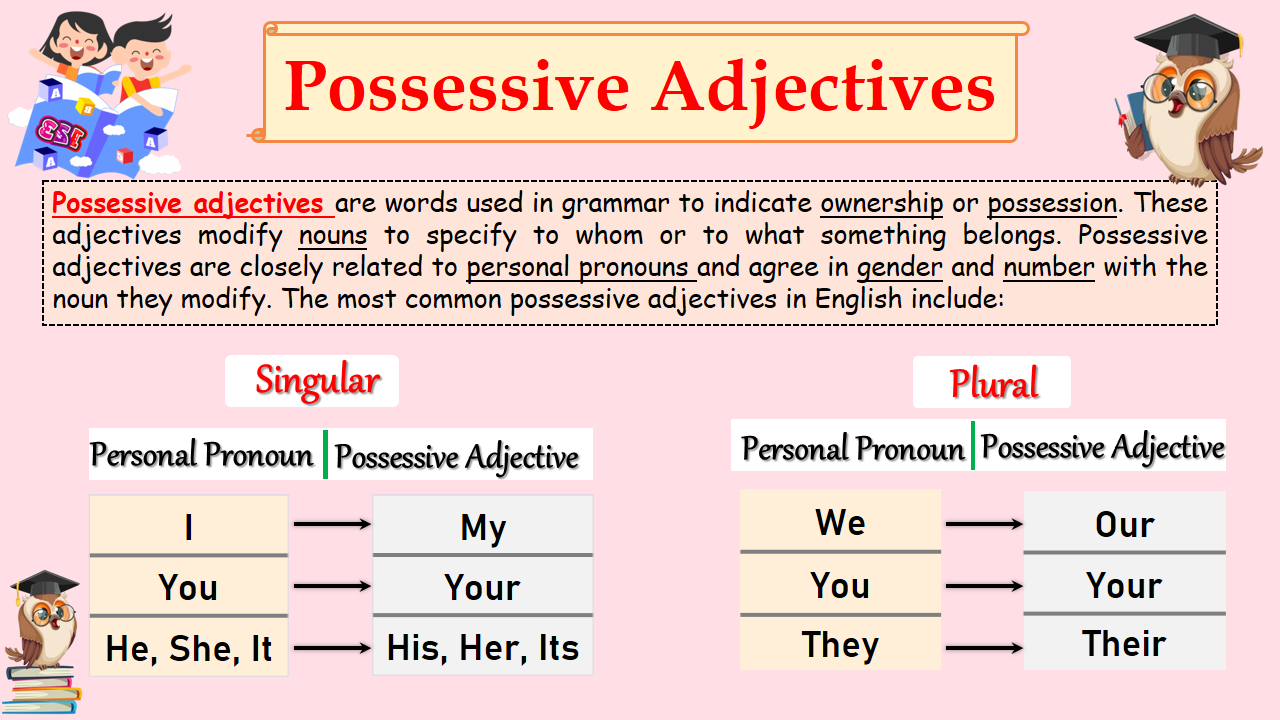 Mastering Possessive Adjectives Types And Examples In English