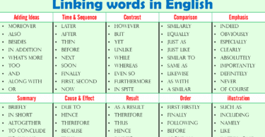 Essential Guide to Linking Words in English with Examples