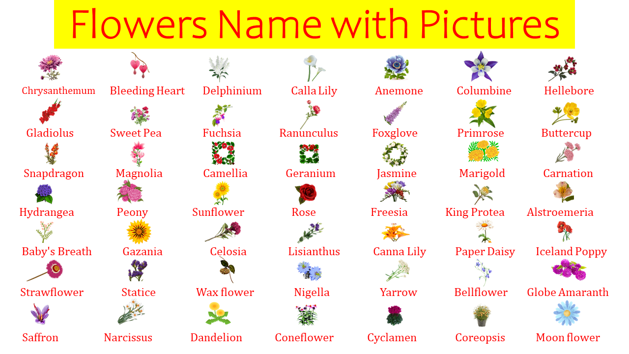 List of All Flowers Name in English with Pictures - EasyEnglishPath