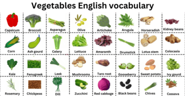 List of Vegetables A to Z in English with Their Pictures
