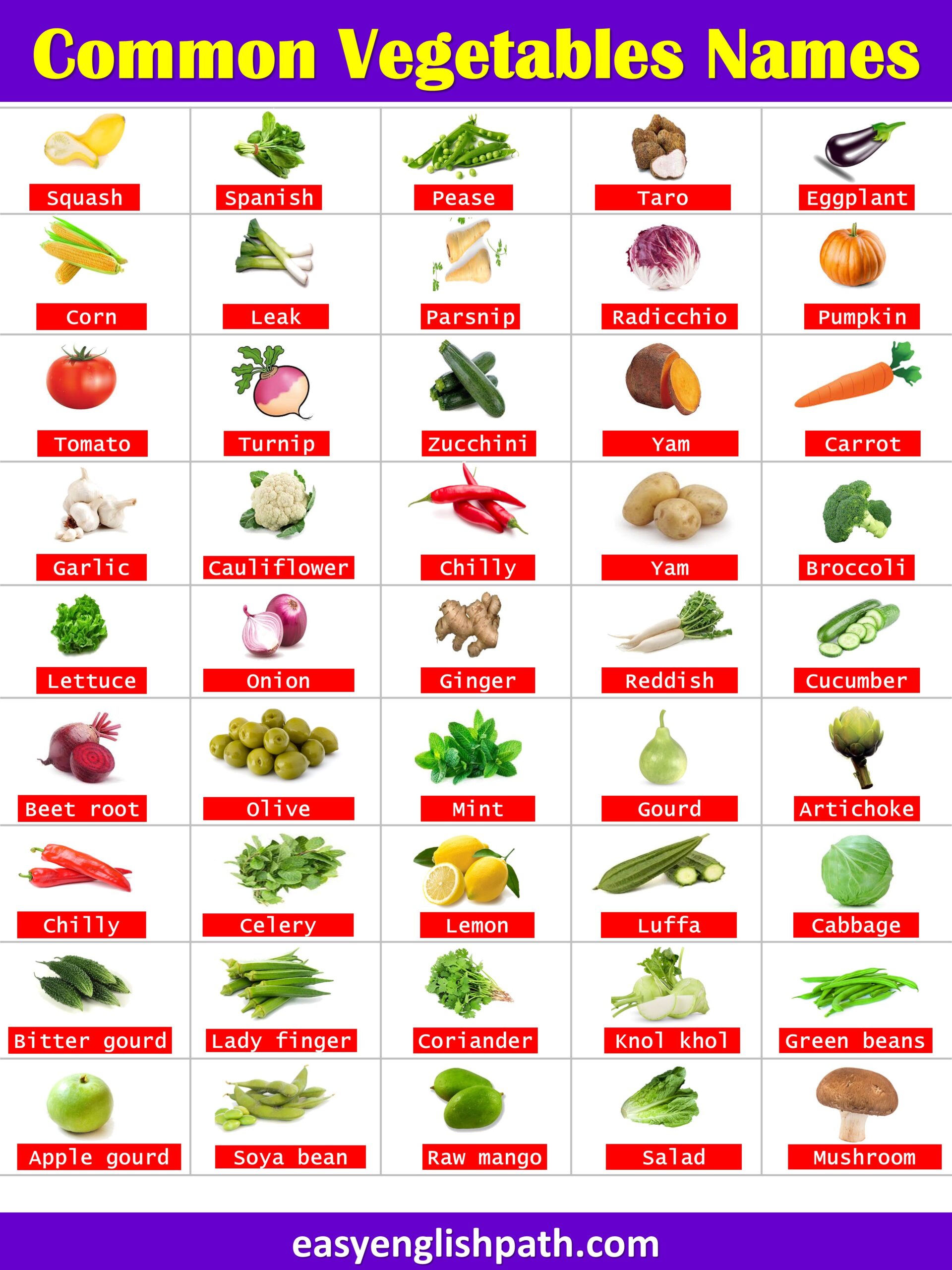 List of Vegetables A to Z in English with Their Pictures