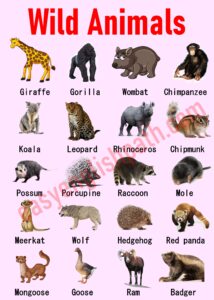 Animal Names in English with Pictures - EasyEnglishPath