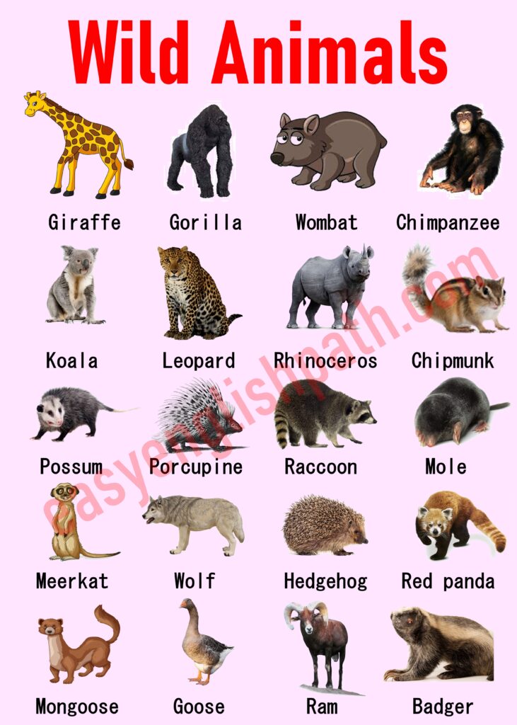 Animal Names in English with Pictures | Animal vocabulary - EasyEnglishPath