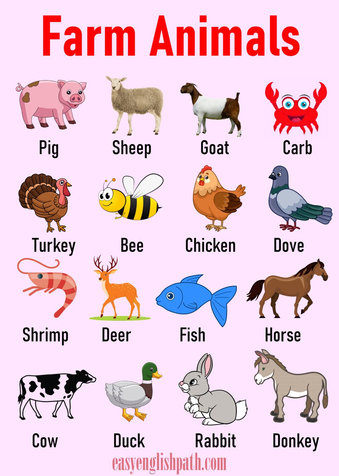 Animal Names In English With Pictures - Easyenglishpath