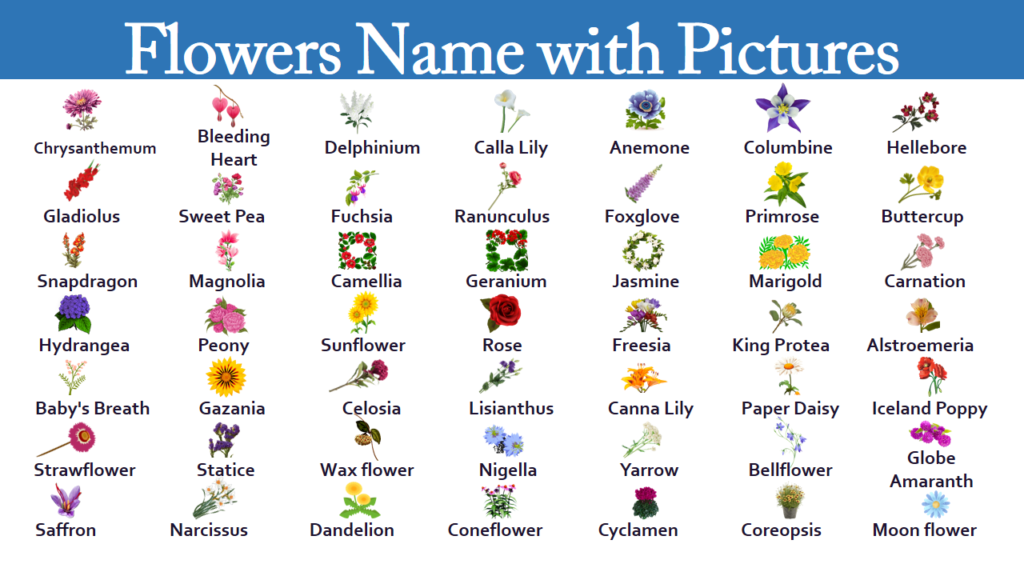 List of All Flowers Name in English with Pictures - EasyEnglishPath