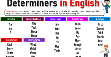 Determiners Meaning in English with Examples