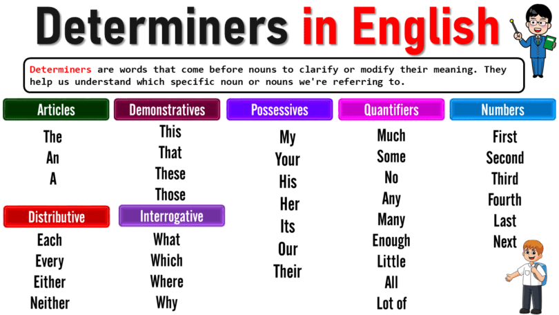 Understanding Determiners in English: Types and Examples