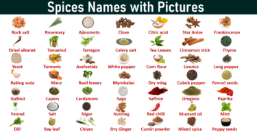 Herbs and Spices Vocabulary in English