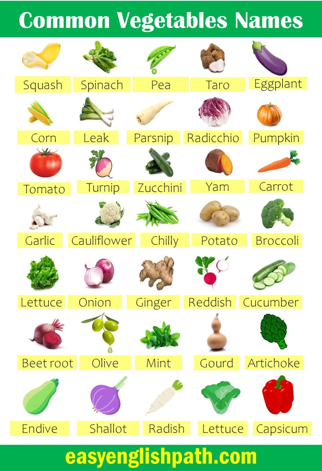 List Of Vegetables A To Z In English With Their Pictures - Easyenglishpath