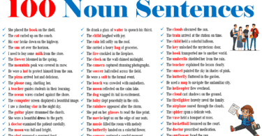 100 Example Sentences of Noun in English