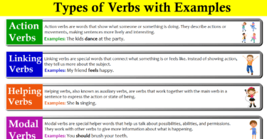 Types of Verbs, Definition, Uses and Examples