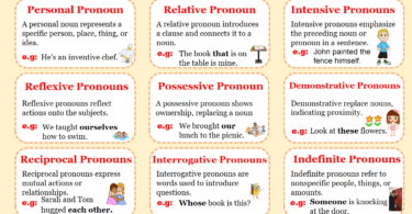 Types of Pronoun with Examples Pronoun Definition