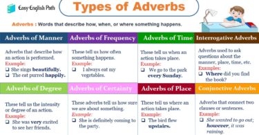 Adverb Essentials: Types, Definitions, and Examples