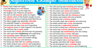 100 Adjectives Example Sentences In English