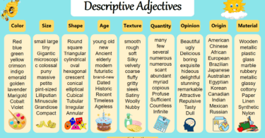 Using Descriptive Adjectives : Examples & Usage