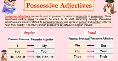 Mastering Possessive Adjectives: Types and Examples in English