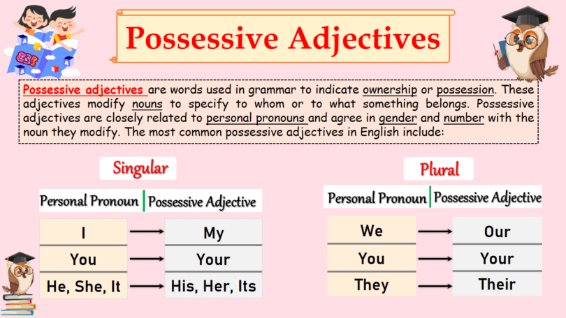 Mastering Possessive Adjectives: Types and Examples in English