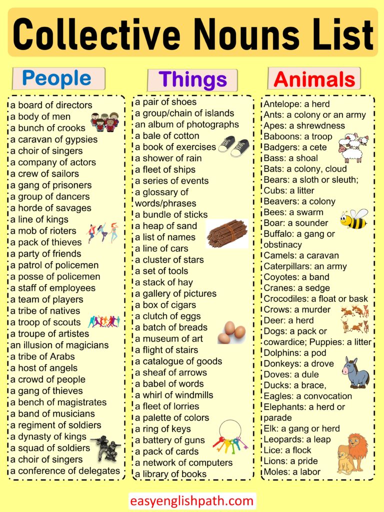 Collective Nouns List in English with Examples - EasyEnglishPath