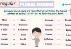 Irregular Plural Nouns Definition and Rules with Examples In English