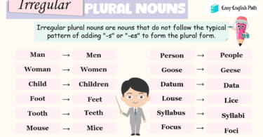 Irregular Plural Nouns Definition and Rules with Examples In English