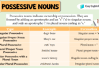 Mastering Possessive Nouns: Comprehensive Rules and Examples