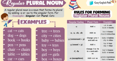 Regular Plural Nouns Definition and Rules with Examples