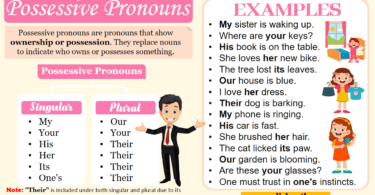 Possessive Pronouns Definition, List & Examples In English