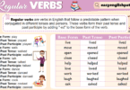 Regular Verbs Meaning, Examples and List In English