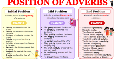 Position of adverbs Meaning, Usage with Examples