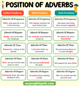 Position of Adverbs: Usage and Examples In English - EasyEnglishPath