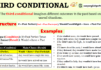 Third Conditional Sentences with Examples In English