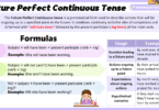 Future Perfect Continuous Tense Uses and Examples