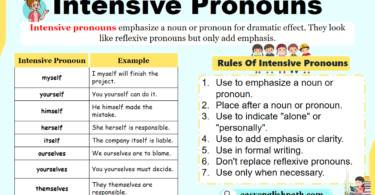 Intensive Pronouns Examples and Usage