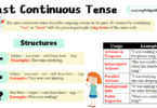 Past Continuous Tense with Examples
