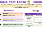 Simple Past Tense : Rules and Examples
