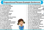 100 Prepositional Phrases Example Sentences In English