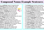 50+ Compound Nouns Example Sentences In English
