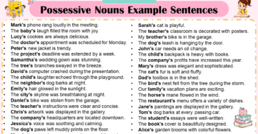 75+ Possessive Nouns Example Sentences In English