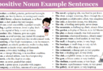 Appositive Noun Example Sentences in English Grammar