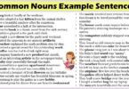 Common Nouns Example Sentences In English