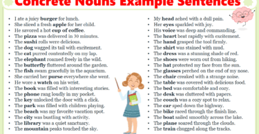 100 Concrete Nouns Example Sentences in English