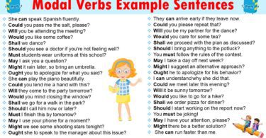 Model Verbs Examples Sentences In Grammar