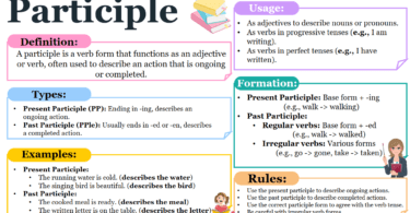 Understanding Participles in English: Types and Examples