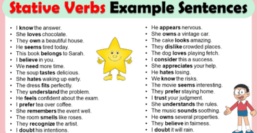 Stative Verbs Examples Sentences In English