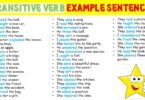 50+ Transitive Verb Examples Sentences In English