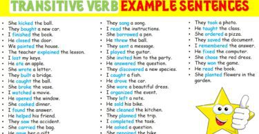 50+ Transitive Verb Examples Sentences In English