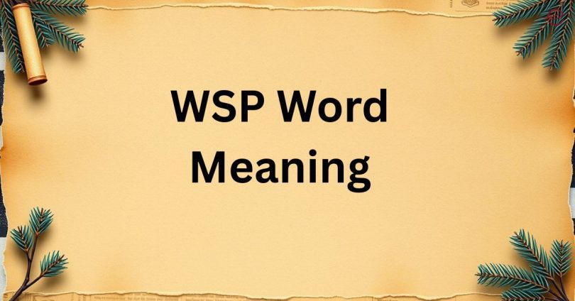 WSP Word Meaning